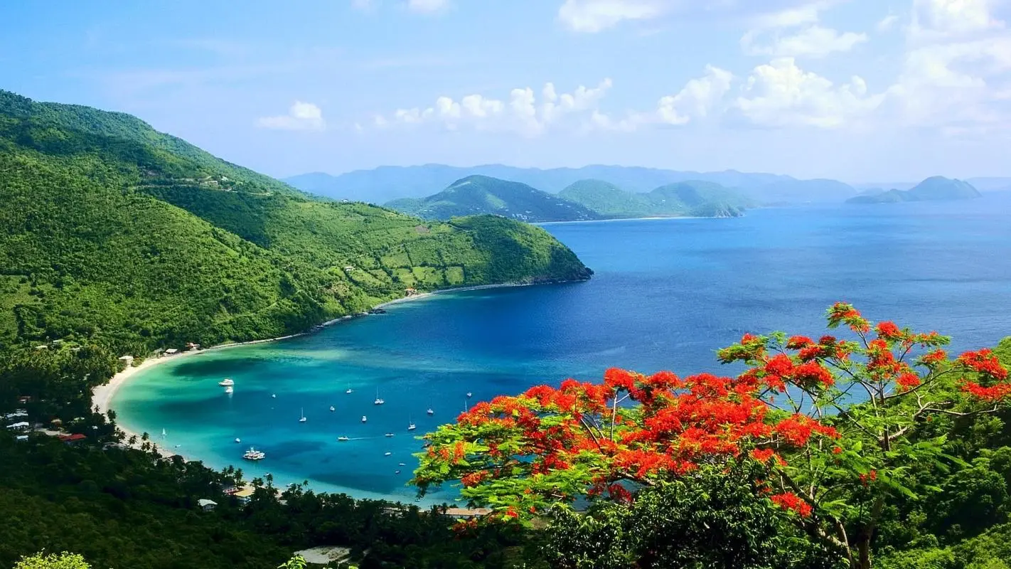 高效智能高标准